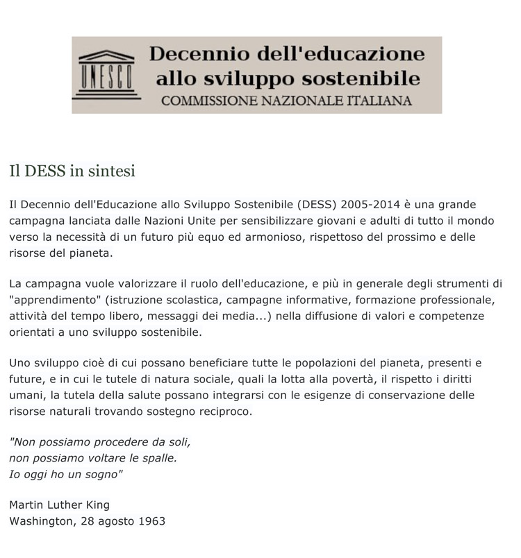 Il-DESS-in-sintesi